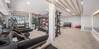 Emblem Ravine Gallery 16