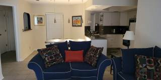 Live the Bayshore Boulevard / Soho Lifestyle, in Style! Gallery 4