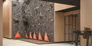 The Journal Gallery 15