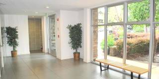 1310 Creekside Drive Gallery 4