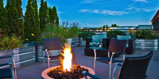 The Corydon Gallery 1