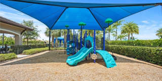 11869 Lakewood Preserve Place Gallery 36