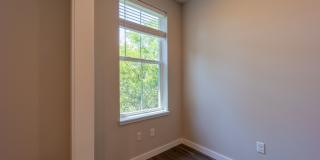 Thrive - Fayetteville Gallery 19