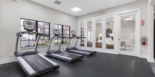 Alvista Hollywood Gallery 30