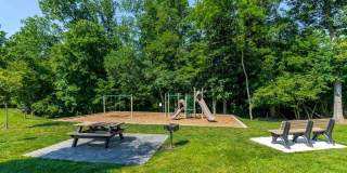 Cranberry Run Cranberry Run Gallery 14