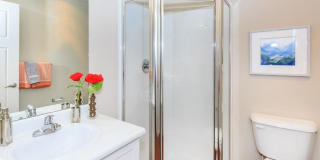 The Woodlands Townhome Apartments Gallery 3