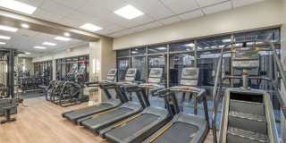 Kanso Silver Spring Gallery 20