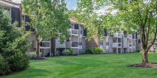 Arrowhead Apartments Gallery 18