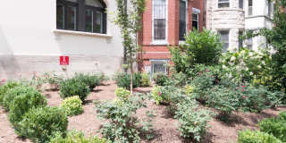 The Santa Rosa Gallery 28