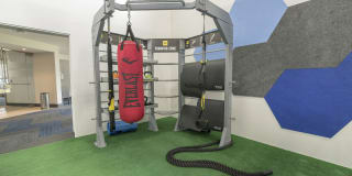 Cypress Creek Gallery 2