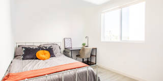 1815 W Adams Boulevard - Co-Living 1815 W Adams Boulevard - Co-Living Gallery 2