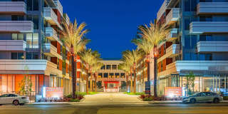 Citrus Commons Gallery 50