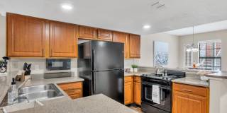 Turtle Lake Gallery 2