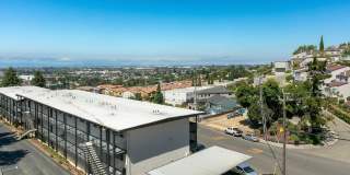 The Heights Gallery 18