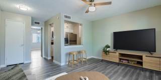 Rise Lakeside Gallery 2