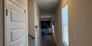2434 Dry Moss Gallery 33