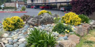 Hillgrove Creek Gallery 18