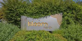 Bloom Gallery 21