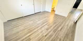 1008 Falconhead Lane Gallery 6
