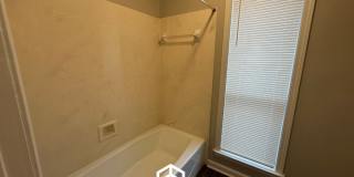 2295 Carrollwood Lane Gallery 20