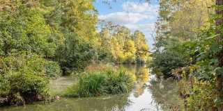 5807 Tahoe Drive Gallery 52