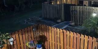 2 Bedroom 2 Bath, Condo for Rent! Gallery 14