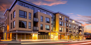 The Marilyn Gallery 44