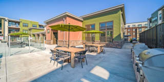 Emblem Renata Gallery 23