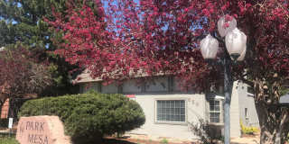 Park Mesa Gallery 171