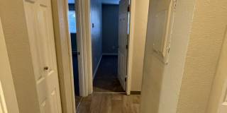 The Signature Gallery 30