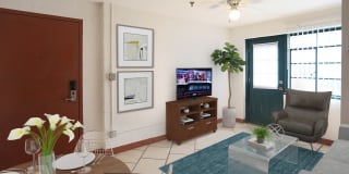 Collins Terrace Gallery 14