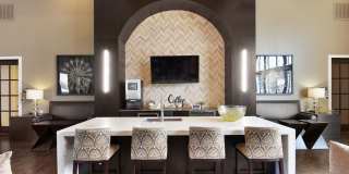 Agora Stone Oak Gallery 16