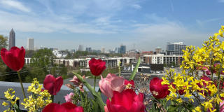 Telephone Factory Lofts Gallery 15