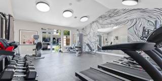 The Jones Gallery 5