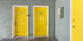 The Canopy Gallery 19