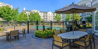 Sofi Danvers Gallery 13