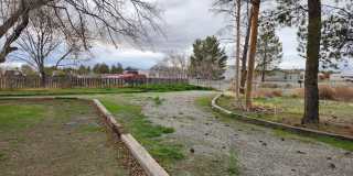 1111 Hardy Lane - B - Back of lot Gallery 3