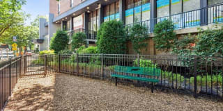 Arrive Silver Spring Gallery 76