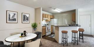 Paradise Island Gallery 17