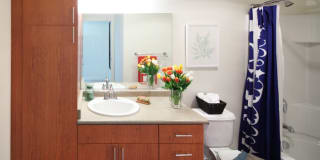 Avana One Six Four Gallery 37
