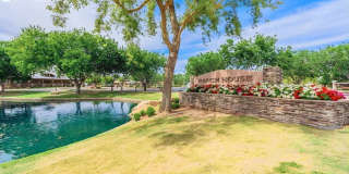 3936 East Blue Sage Road Gallery 25