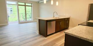 Main2525 Gallery 1