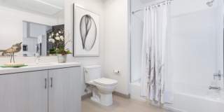 The Apartment Collection at Bay Meadows Gallery 56