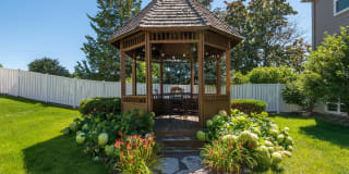 Rose Vista Gallery 19