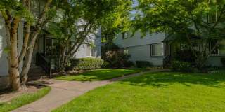 Uptown Lake Oswego Gallery 83