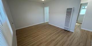 Fully Remodeled Ground-Level Studio Apartment with Modern Finishes Gallery 1