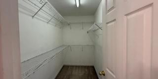509 Ruby Walk Drive Gallery 19