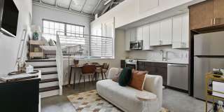 The Carousel Gallery 1