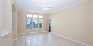 13702 Seahorse Gallery 12