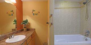 Palms at Waters Edge 3344-M6 Gallery 12